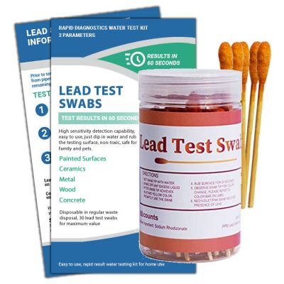 Lead paint test что это